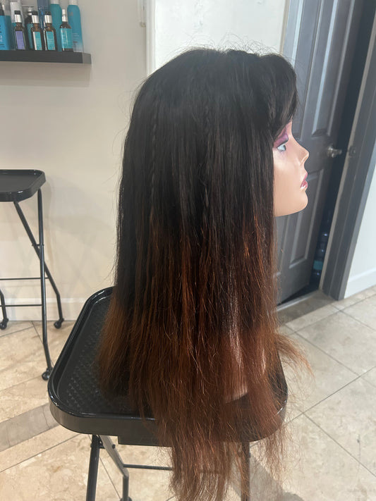 Lace Front Glueless Wig